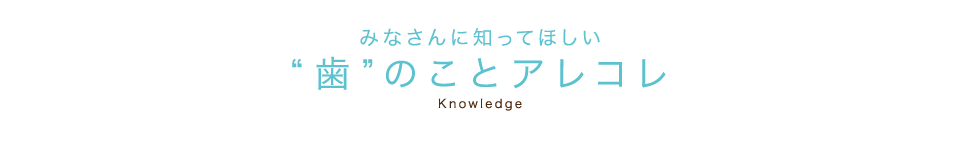 歯について