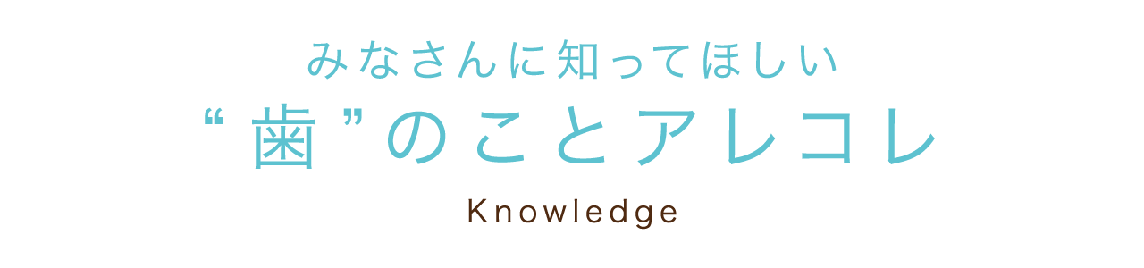 歯について