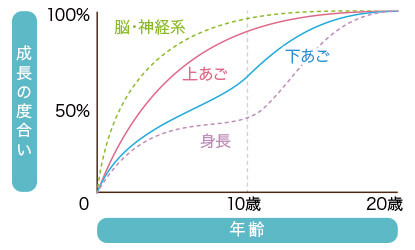 子供の年齢と成長のグラフ