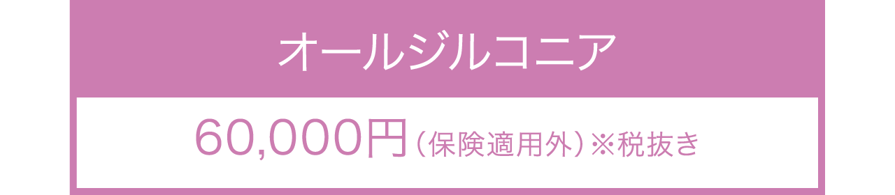 オールジルコニアのつめ物料金